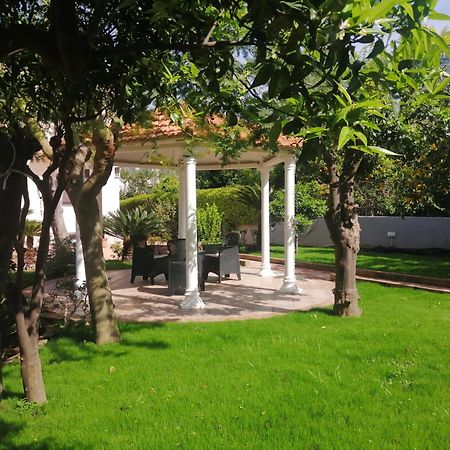 Summer Colors Rooms & Apartments Meta Εξωτερικό φωτογραφία